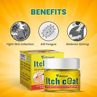 Vidhmaan Ayurvedic ItchCoat Anti fungal Malam 22 Gm - for Ringworm, itching, Eczema  Fungal Infection (2)-thumb2