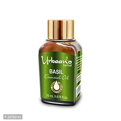 UBRAANO HERBAL Basil Essential Oil For face, Skin, Hair, Aroma  Theraputic Grade (100% Undiluted - No Additive in Attractive Gift Pack) - 20 ml