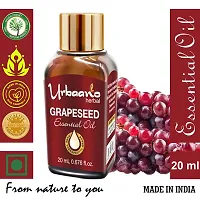 Urbaano Herbal Grapeseed Essential Oil for Skin, Hair,Natural Carrier Oil- Theraputic Grade (100% Undiluted - No Additive in Attractive Gift Pack) - 20 ml Women  Men-thumb1