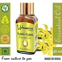 UBRAANO HERBAL Ylang Ylang Essential Oil For face, Skin, Hair, Aroma  Theraputic Grade (100% Undiluted - No Additive in Attractive Gift Pack) - 20 ml-thumb1