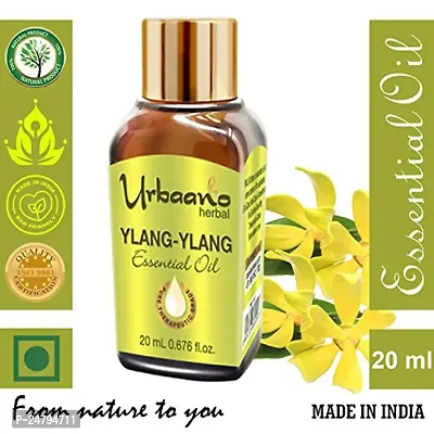 UBRAANO HERBAL Ylang Ylang Essential Oil For face, Skin, Hair, Aroma  Theraputic Grade (100% Undiluted - No Additive in Attractive Gift Pack) - 20 ml-thumb2