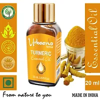 Urbaano Herbal Turmeric Essential Oil For face, Skin, Hair, Aroma  Theraputic Grade (100% Undiluted - No Additive in Attractive Gift Pack) - 20 ml-thumb2