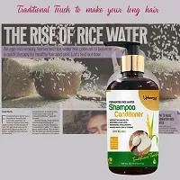 Fermented Rice Water Shampoo Hair Strength Growth Formula Sulphate Free Shampoo-thumb1