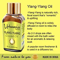 UBRAANO HERBAL Ylang Ylang Essential Oil For face, Skin, Hair, Aroma  Theraputic Grade (100% Undiluted - No Additive in Attractive Gift Pack) - 20 ml-thumb2