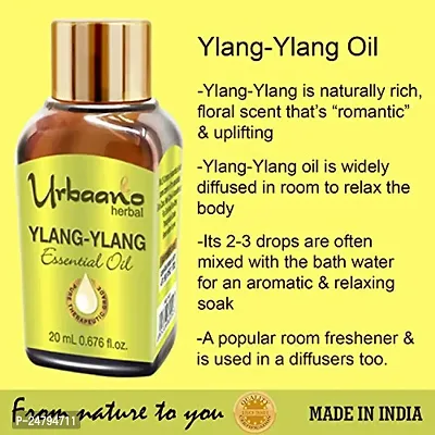 UBRAANO HERBAL Ylang Ylang Essential Oil For face, Skin, Hair, Aroma  Theraputic Grade (100% Undiluted - No Additive in Attractive Gift Pack) - 20 ml-thumb3