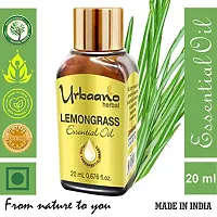 UBRAANO HERBAL Lemongrass Essential Oil For face, Skin, Hair, Aroma  Theraputic Grade (100% Undiluted - No Additive in Attractive Gift Pack) - 20 ml-thumb2