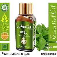 UBRAANO HERBAL Basil Essential Oil For face, Skin, Hair, Aroma  Theraputic Grade (100% Undiluted - No Additive in Attractive Gift Pack) - 20 ml-thumb1