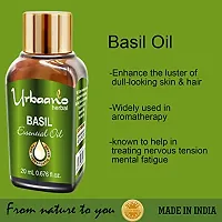 UBRAANO HERBAL Basil Essential Oil For face, Skin, Hair, Aroma  Theraputic Grade (100% Undiluted - No Additive in Attractive Gift Pack) - 20 ml-thumb2