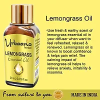 UBRAANO HERBAL Lemongrass Essential Oil For face, Skin, Hair, Aroma  Theraputic Grade (100% Undiluted - No Additive in Attractive Gift Pack) - 20 ml-thumb3