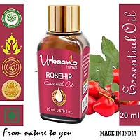 UBRAANO HERBAL Rosehip Essential Oil For face, Skin, Hair, Aroma  Theraputic Grade (100% Undiluted - No Additive in Attractive Gift Pack) - 20 ml-thumb1