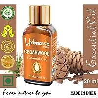 UBRAANO HERBAL Cedarwood Essential Oil For face, Skin, Hair, Aroma  Theraputic Grade (100% Undiluted - No Additive in Attractive Gift Pack) - 20 ml-thumb1