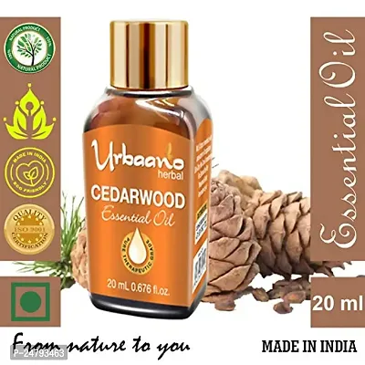 UBRAANO HERBAL Cedarwood Essential Oil For face, Skin, Hair, Aroma  Theraputic Grade (100% Undiluted - No Additive in Attractive Gift Pack) - 20 ml-thumb2