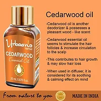 UBRAANO HERBAL Cedarwood Essential Oil For face, Skin, Hair, Aroma  Theraputic Grade (100% Undiluted - No Additive in Attractive Gift Pack) - 20 ml-thumb2