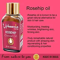 UBRAANO HERBAL Rosehip Essential Oil For face, Skin, Hair, Aroma  Theraputic Grade (100% Undiluted - No Additive in Attractive Gift Pack) - 20 ml-thumb2