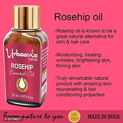 UBRAANO HERBAL Rosehip Essential Oil For face, Skin, Hair, Aroma  Theraputic Grade (100% Undiluted - No Additive in Attractive Gift Pack) - 20 ml-thumb3