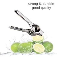 ERcial? Pure Stainless Steel Lemon Squeezer for kitchen (Silver)-thumb4