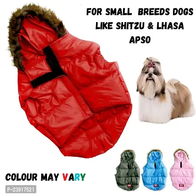DogsMart Dog winter jacket waterproof and lightweight