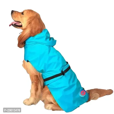 Stylish Solid Dog Raincoat  XXL