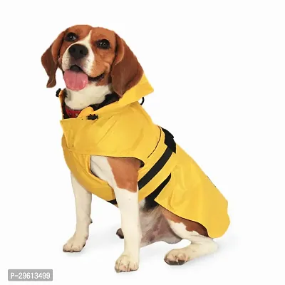 Stylish Solid Dog Raincoat SMALL-thumb0