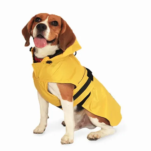 Latest Dog Rain Coat