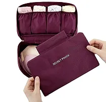 CABLE GALLERY Travel Underwear Panties Bra Pouch Organizer Waterproof Personal Garment Bag Case Undergarments and Inner Wear Storage Bag, Make-up Pouch for Women, Travel Organizer Bag (1 pcs) (1 PC)-thumb2