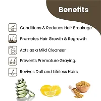 Hair Mask For HairFall, Anti-Dandruff And Hair Greying 100g-thumb2