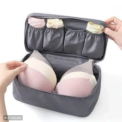 Pegrim Travel Underwear Panties Bra Pouch Organizer Bag Pouch Waterproof Personal Garment Bag Case d Inner Wear Storage Bag, Cosmetic, Make-up Pouch for Women, Travel Organizer Bag-thumb2