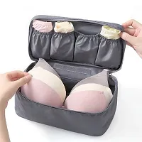 Pegrim Travel Underwear Panties Bra Pouch Organizer Bag Pouch Waterproof Personal Garment Bag Case d Inner Wear Storage Bag, Cosmetic, Make-up Pouch for Women, Travel Organizer Bag-thumb3