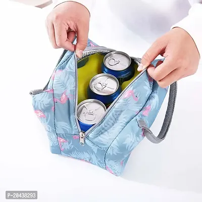 Insulated Travel Lunch/Tiffin/Storage Bag Leakproof Hot/Cold for Men Women Unisex, Office, College  School-thumb2