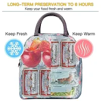 ASPENX Insulated Travel Lunch/Tiffin/Storage Bag for Office, College  School Polyester, Regular Size (Multicolor)(multidesign)-thumb4