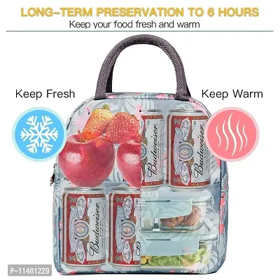 ASPENX Insulated Travel Lunch/Tiffin/Storage Bag for Office, College  School Polyester, Regular Size (Multicolor)(multidesign)-thumb5