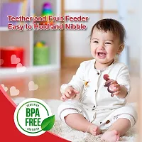 Bpa Free Fruit Feeder Nipple And Nibbler With Protective Cap-thumb2