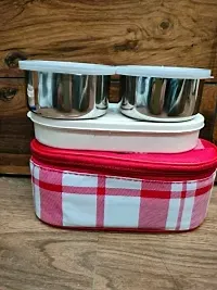 Elite School Lunchbox Set 2 Steel Container 1 Plastic Ovel Box With Bag Mix Design-thumb2