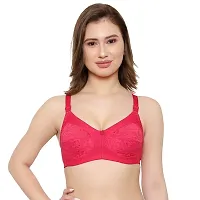 KSB Enterprises Women Net Non-Padded Wire Free Regular Bra, Reguler Use-thumb4