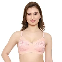 KSB Enterprises Women Net Non-Padded Wire Free Regular Bra, Womnen Bra-thumb1