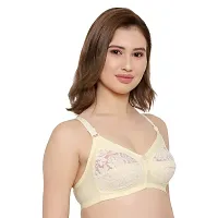 KSB Enterprises Women Net Non-Padded Wire Free Regular Bra Beige-Yellow-thumb3