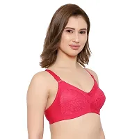 KSB Enterprises Women Net Non-Padded Wire Free Regular Bra Red-Blue-thumb3