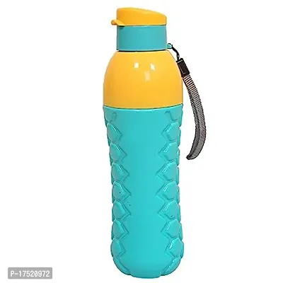 Plastic Insulated Water Bottle 700 ML (Grey)