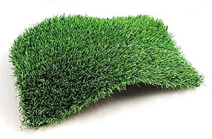 RAJALWAL Brand by GreenGrass, Artificial Grass, PP (Polypropylene), PVC (Polyvinyl Chloride) Door Mat (Green, Medium (40x60 inch)-thumb2