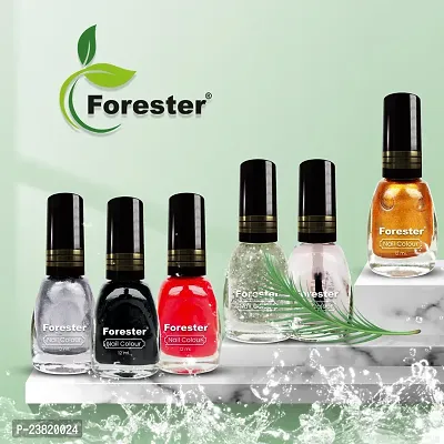 Forester Coat Nail Polish Nude Collection, High Gloss, Chip Resistant, Quick Dry, Gel Effect, Shades pack of 6  (6 ML)