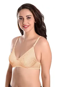 Featherline Casual Lace Non Padded Non Wired Women's T-Shirt Bras-thumb2