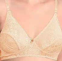 Featherline Casual Lace Non Padded Non Wired Women's T-Shirt Bras-thumb3