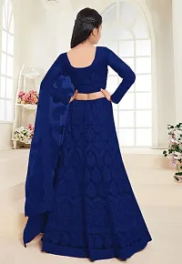 Alluring Blue Net Embellished Lehenga Cholis For Girls-thumb1