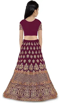 Alluring Purple Net Embellished Lehenga Cholis For Girls-thumb1