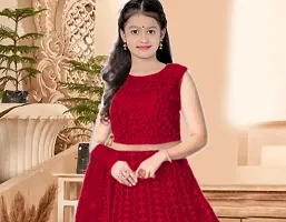 Alluring Red Net Embellished Lehenga Cholis For Girls-thumb1