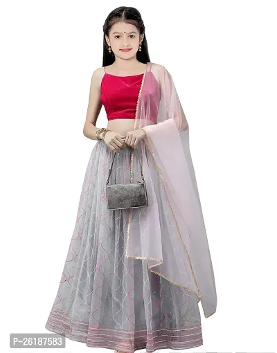 Alluring Grey Net Embellished Lehenga Cholis For Girls-thumb0