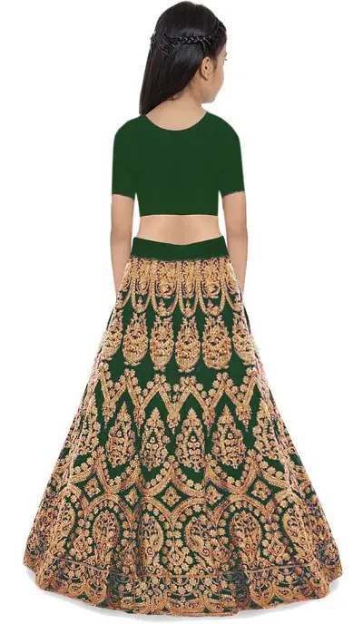 Best Selling Net Lehenga Cholis 