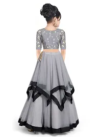 Alluring Grey Net Embellished Lehenga Cholis For Girls-thumb1