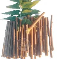 RUKDA Neem Datun / Fresh Chew Sticks/ Nim Twigs For Better Tooth Gems, Relieve Tooth Ache, Fresh Breath And Health (Pack of 30 pcs)-thumb1