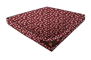 The Furnishing Tree Polyester Waterproof Single Size 36X75X5 inches (WxLxH) Zippered Mattress Cover Brick Red Floral-thumb1